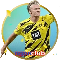 ngonclub